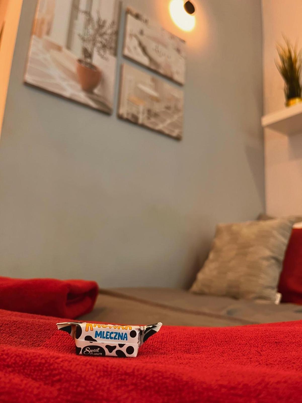 Special 1 Bed Room Condo Warszawa Center 외부 사진