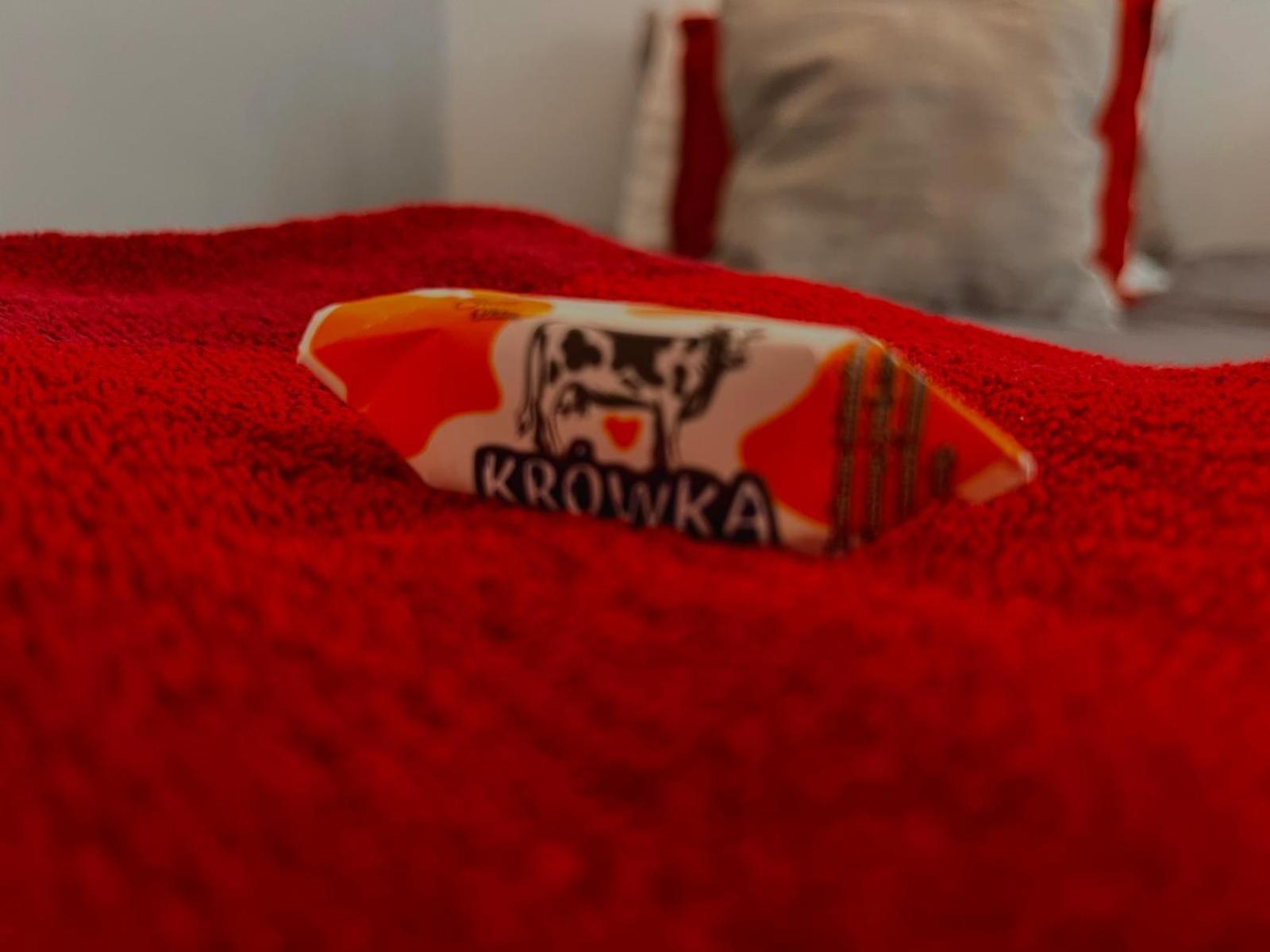 Special 1 Bed Room Condo Warszawa Center 외부 사진
